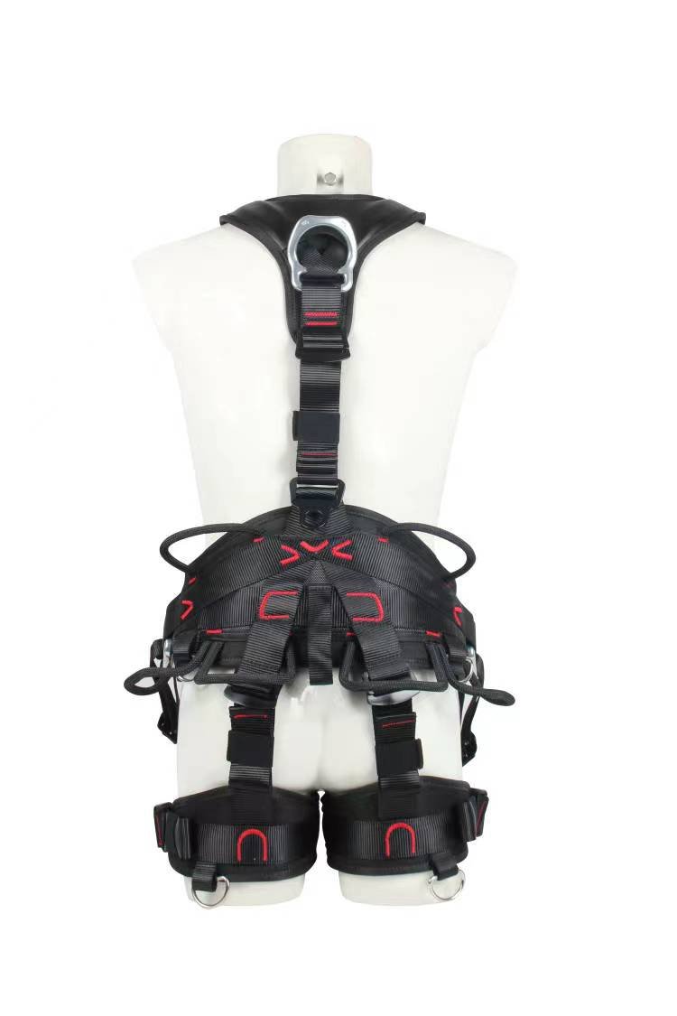 微信图片_20240305135611