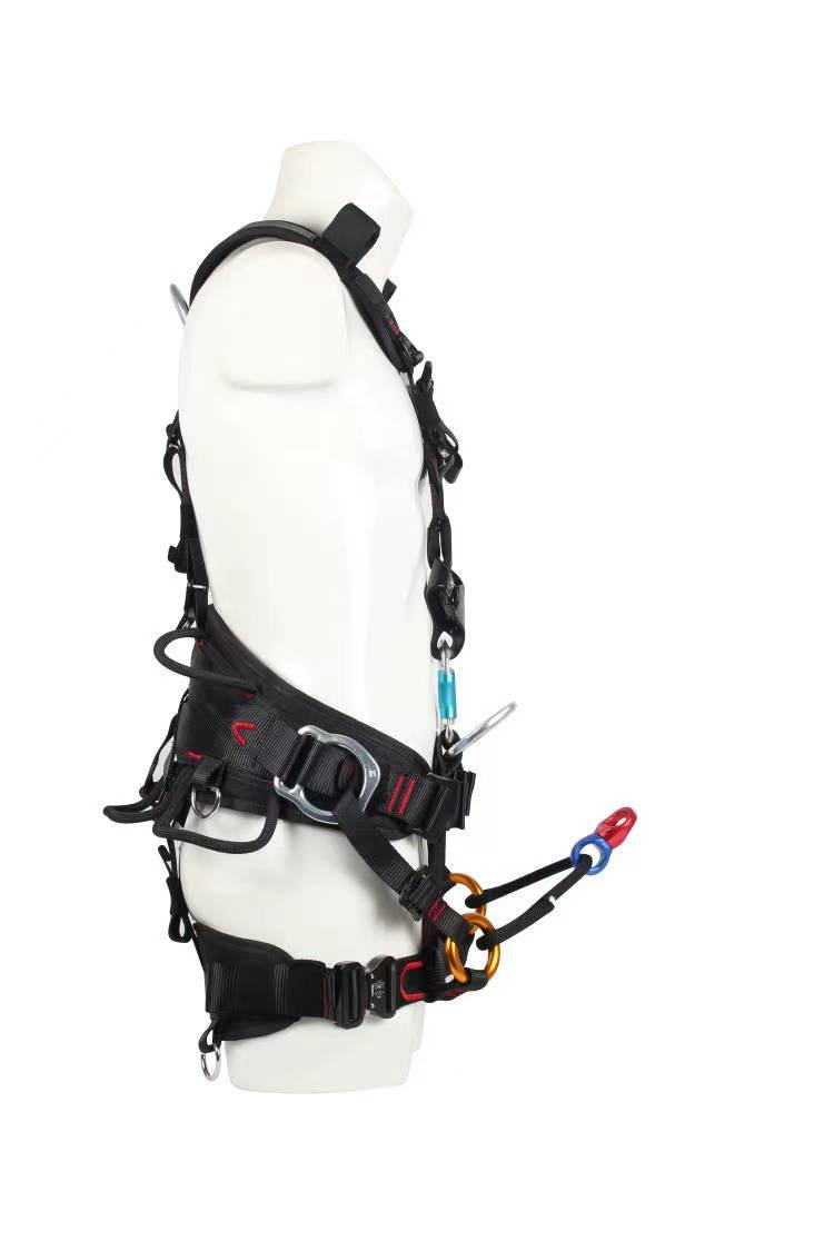 微信图片_20240305135615