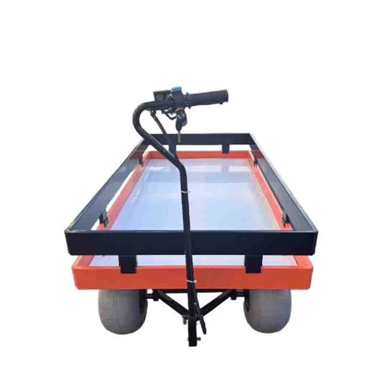 beach cart1