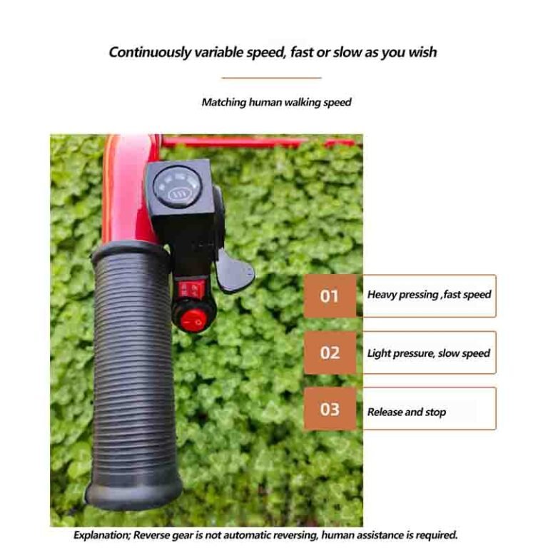 electric platform cart2